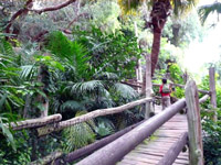 Jungle Park na Teneryfie